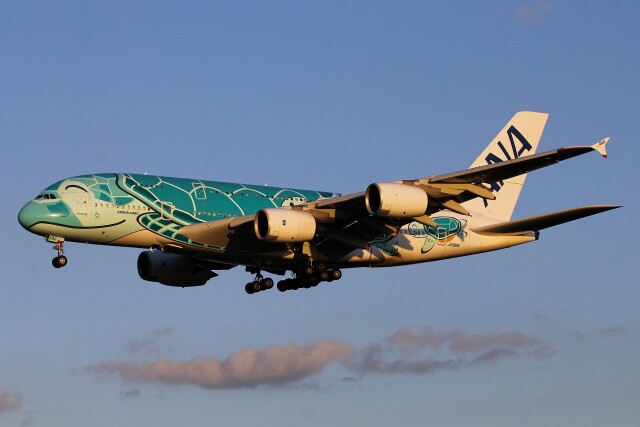エアバスA380 航空機 徹底ガイド | FlyTeam(フライチーム)