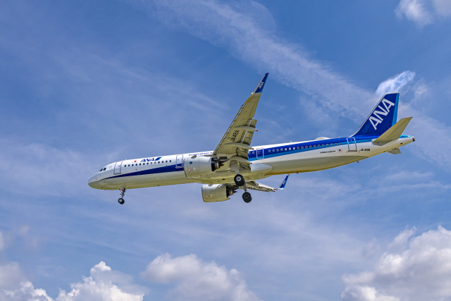 スターアライアンス」特別塗装機 全日空 (787-9 | JA899A