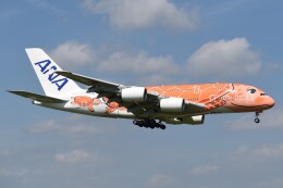 フライングホヌ ラー/3号機」特別塗装機 全日空 (A380 | JA383A