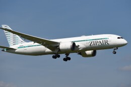 テッシーさんが、成田国際空港で撮影したジップエア 787-8 Dreamlinerの航空フォト（飛行機 写真・画像）