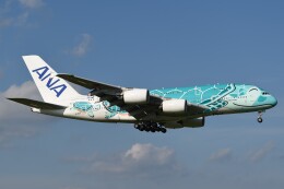 フライングホヌ カイ/2号機」特別塗装機 全日空 (A380 | JA382A