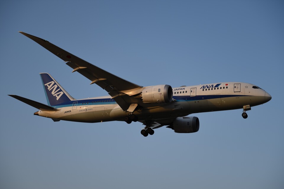 日本航空のユニホーム 61rVz5T2qeL._UF350,350_QL80_.jpg