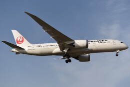 テッシーさんが、成田国際空港で撮影した日本航空 787-8 Dreamlinerの航空フォト（飛行機 写真・画像）