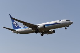 テッシーさんが、成田国際空港で撮影した全日空 737-881の航空フォト（飛行機 写真・画像）
