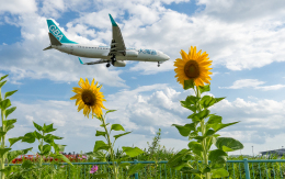 ひげじいさんが、仙台空港で撮影したグレーターベイ航空 737-83Zの航空フォト（飛行機 写真・画像）
