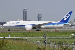 機体記号 : JA802A (ANA) 航空フォト(飛行機 写真・画像