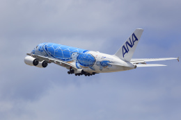 【専用】全日空商事 1/500 エアバス A380 ANA フライングホヌ ラニ A380 ANA 全日空 FLYING HONU ( フライングホヌ / ラニ ) ANA