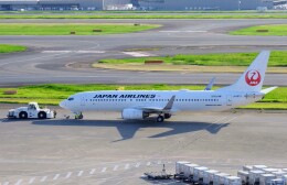 Goshuinnist(ごしゅ)さんが、羽田空港で撮影した日本航空 737-846の航空フォト（飛行機 写真・画像）