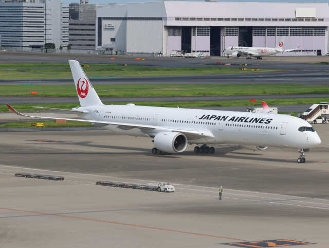 JAL (日本航空) 機材一覧 ボーイング737-800 | FlyTeam(フライ
