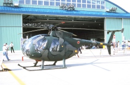 航空フォト：31134 陸上自衛隊 OH-6D
