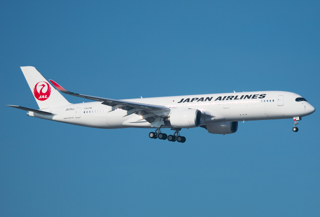 かがり火 JAL B8 かがり火 JAL B8 JALボーイング787 - JAL
