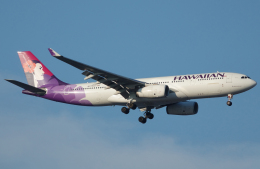 taka1129さんが、羽田空港で撮影したハワイアン航空 A330-243の航空フォト（飛行機 写真・画像）