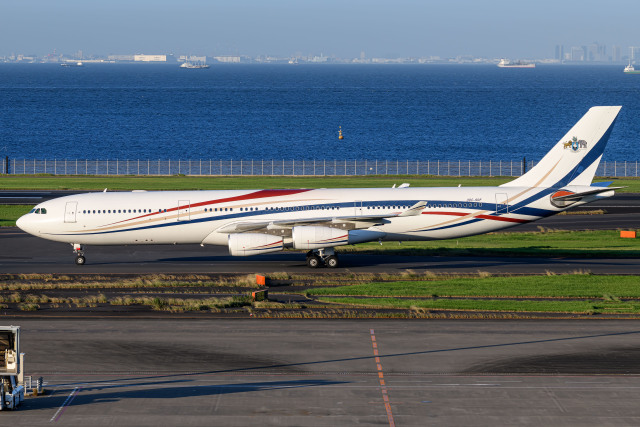 B767-300ER JAL ドリームエクスプレス ディズニー100(限定版) JAL Dream Express Disney 100 Boeing 767-300ER Model | Japan