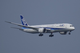 世界のエアライン７ PLANETAGS B707 N88ZL Lowa プレインタグス ロワ航空 機体