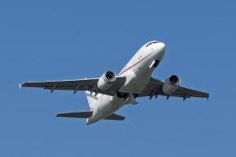 tkosadaさんが、羽田空港で撮影したグローバル・ジェット・ルクセンブルク A318-112 CJ Eliteの航空フォト（飛行機 写真・画像）