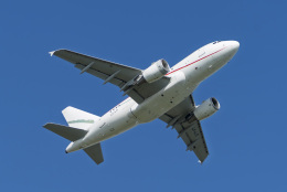 tkosadaさんが、羽田空港で撮影したグローバル・ジェット・ルクセンブルク A318-112 CJ Eliteの航空フォト（飛行機 写真・画像）