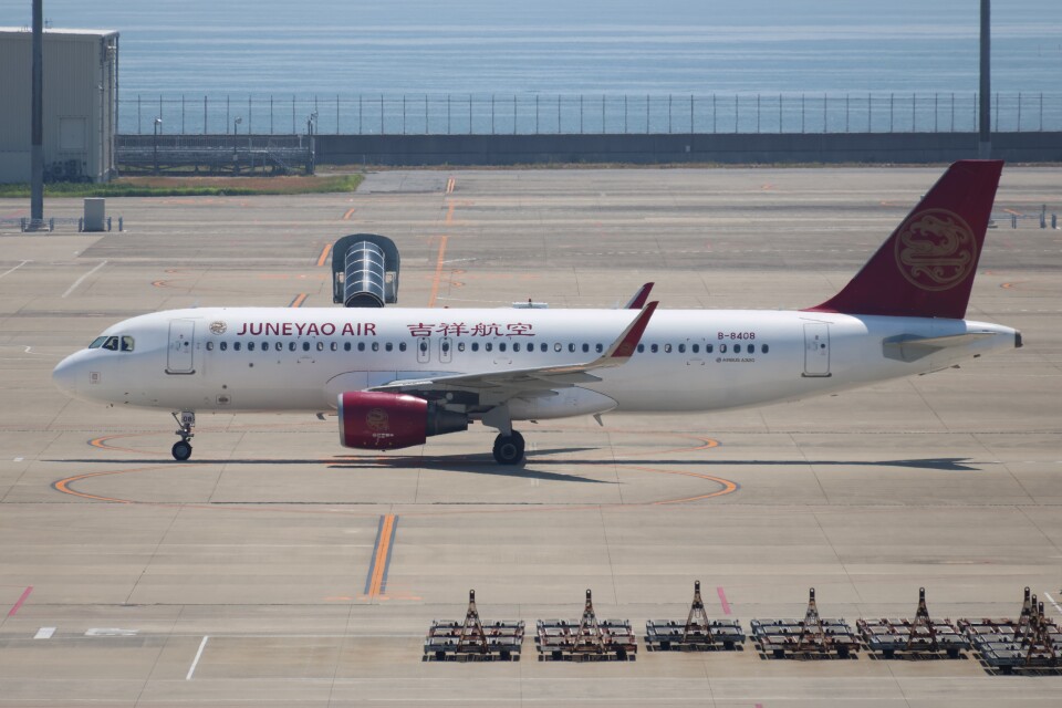 【未開封】AIRBUS A320 エアーバス エアバスAirbus A320 neo 世界の旅客機図鑑