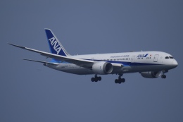 ボーイング787-8 ドリームライナー 航空機 徹底ガイド | FlyTeam
