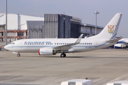 しゃこ隊さんが、羽田空港で撮影した南アフリカ空軍 737-7ED BBJの航空フォト（飛行機 写真・画像）