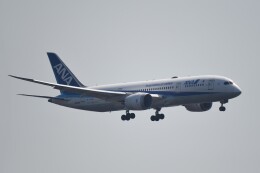 ドリームライナーです！！ Boeing 787-9 ドリームライナー | フリート | Turkish Airlines ®