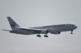テッシーさんが、羽田空港で撮影した日本航空 767-346/ERの航空フォト（飛行機 写真・画像）