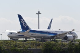 テッシーさんが、羽田空港で撮影した全日空 787-8 Dreamlinerの航空フォト（飛行機 写真・画像）