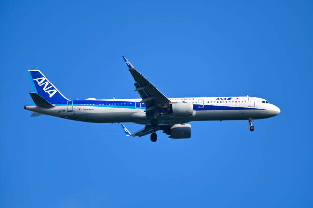 ターキッシュ エアラインズ(トルコ航空) エアバスA310 航空