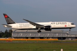 たみぃさんが、成田国際空港で撮影したエア・カナダ 787-9の航空フォト（飛行機 写真・画像）