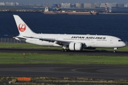 Timothyさんが、羽田空港で撮影した日本航空 787-8 Dreamlinerの航空フォト（飛行機 写真・画像）