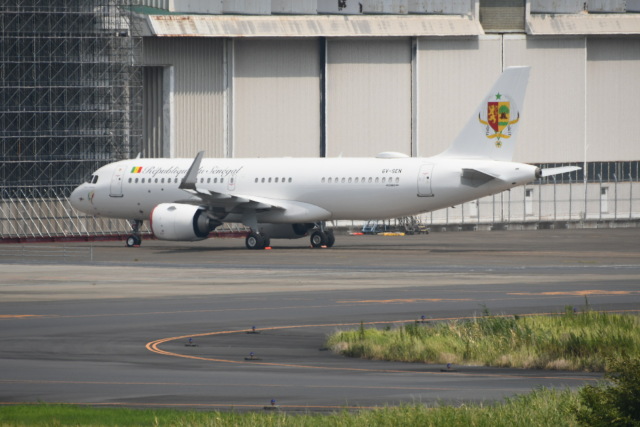 スターアライアンス (ホワイト)」特別塗装機 シンガポール航空