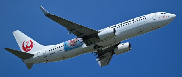 スターアライアンス (ホワイト)」特別塗装機 シンガポール航空