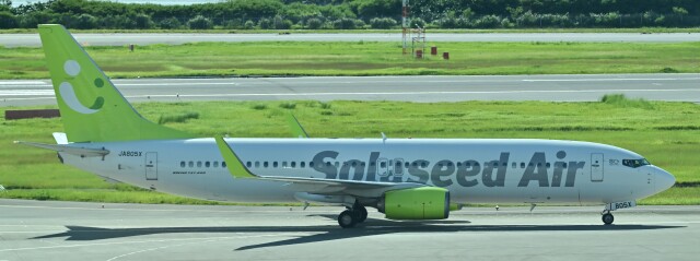 そら 機体記号 : JA805X (ソラシド エア) 航空フォト(飛行機 写真