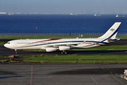 haru.wings_777さんが、羽田空港で撮影したエスワティニ政府 A340-313の航空フォト（飛行機 写真・画像）