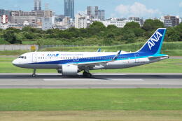 @たかひろさんが、伊丹空港で撮影した全日空 A320-271Nの航空フォト（飛行機 写真・画像）