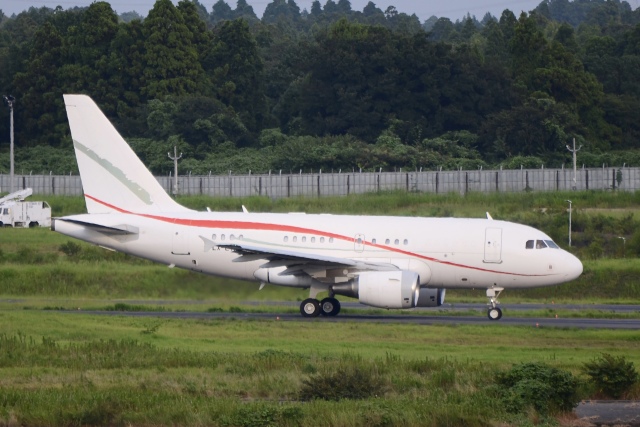 JAL ドリームエクスプレス ファンタジア80 767-300ER 1:200 s-l400.jpg
