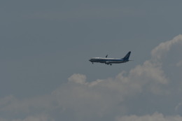 takanoさんが、新潟空港で撮影した全日空 737-881の航空フォト（飛行機 写真・画像）