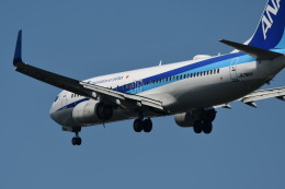takanoさんが、新潟空港で撮影した全日空 737-881の航空フォト（飛行機 写真・画像）