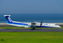 avx4411さんが、大分空港で撮影したANAウイングス DHC-8-402Q Dash 8の航空フォト（飛行機 写真・画像）