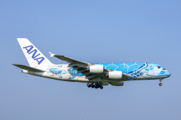 フライングホヌ ラニ/1号機」特別塗装機 全日空 (A380 | JA381A