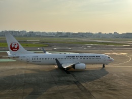 Turquoiseさんが、福岡空港で撮影した日本トランスオーシャン航空 737-846の航空フォト（飛行機 写真・画像）