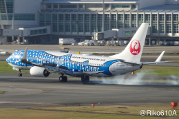 日本トランスオーシャン航空