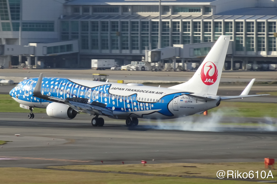 日本トランスオーシャン航空 Boeing 737-800 1:130 1/130 JTA 737-800 さくらジンベエ スナップインモデル: JAL