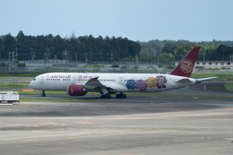 吉祥航空 B787-9 『原神号』特別塗装 JC Wings 1/400 吉祥航空 B787-9 『原神号』特別塗装 JC Wings 1/400 - メルカリ