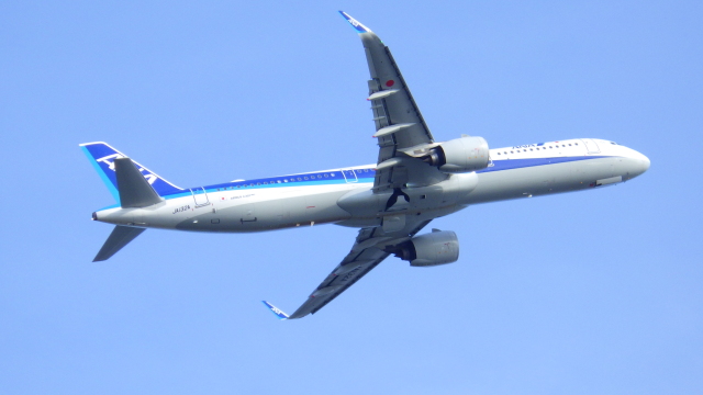 機体記号 : JA132A (ANA) 航空フォト(飛行機 写真・画像