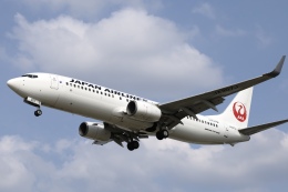 Fly Yokotayaさんが、伊丹空港で撮影した日本航空 737-846の航空フォト（飛行機 写真・画像）