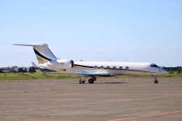 北の熊さんが、新千歳空港で撮影したNomad Aviationの航空フォト（飛行機 写真・画像）