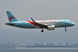 長竜航空 イメージ