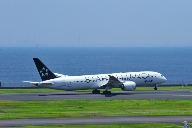アシアナ航空 Aviationtagt A321-100 スターアライアンスロゴ アシアナ航空 Aviationtagt A321-100 スターアライアンスロゴ