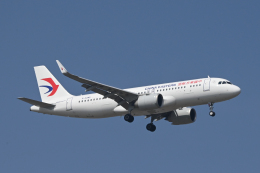 Ron.Sさんが、上海浦東国際空港で撮影した中国東方航空 A320-251Nの航空フォト（飛行機 写真・画像）