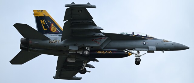 オカリンさんが、嘉手納飛行場で撮影したアメリカ海軍 EA-18G Growlerの航空フォト（飛行機 写真・画像）